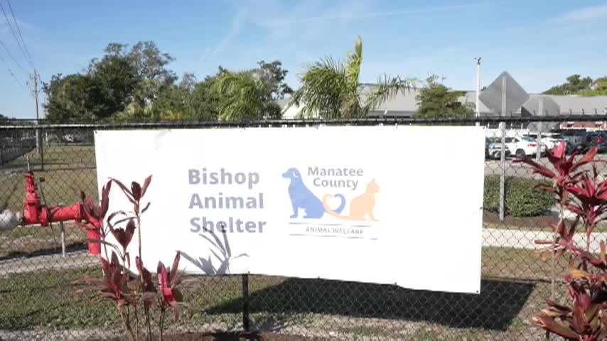 METV Spotlight - Bishop Animal Shelter Ribbon Cutting Ceremony