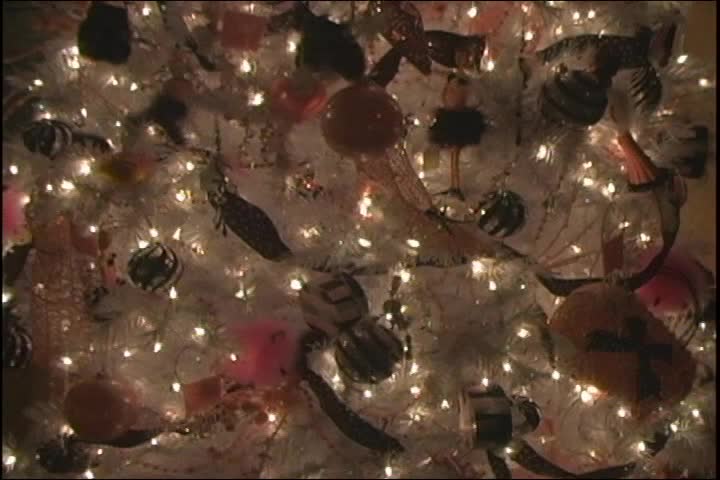 Thumbnail image for Guitar Unplugged / Crosley Trees  Special Dec 2006