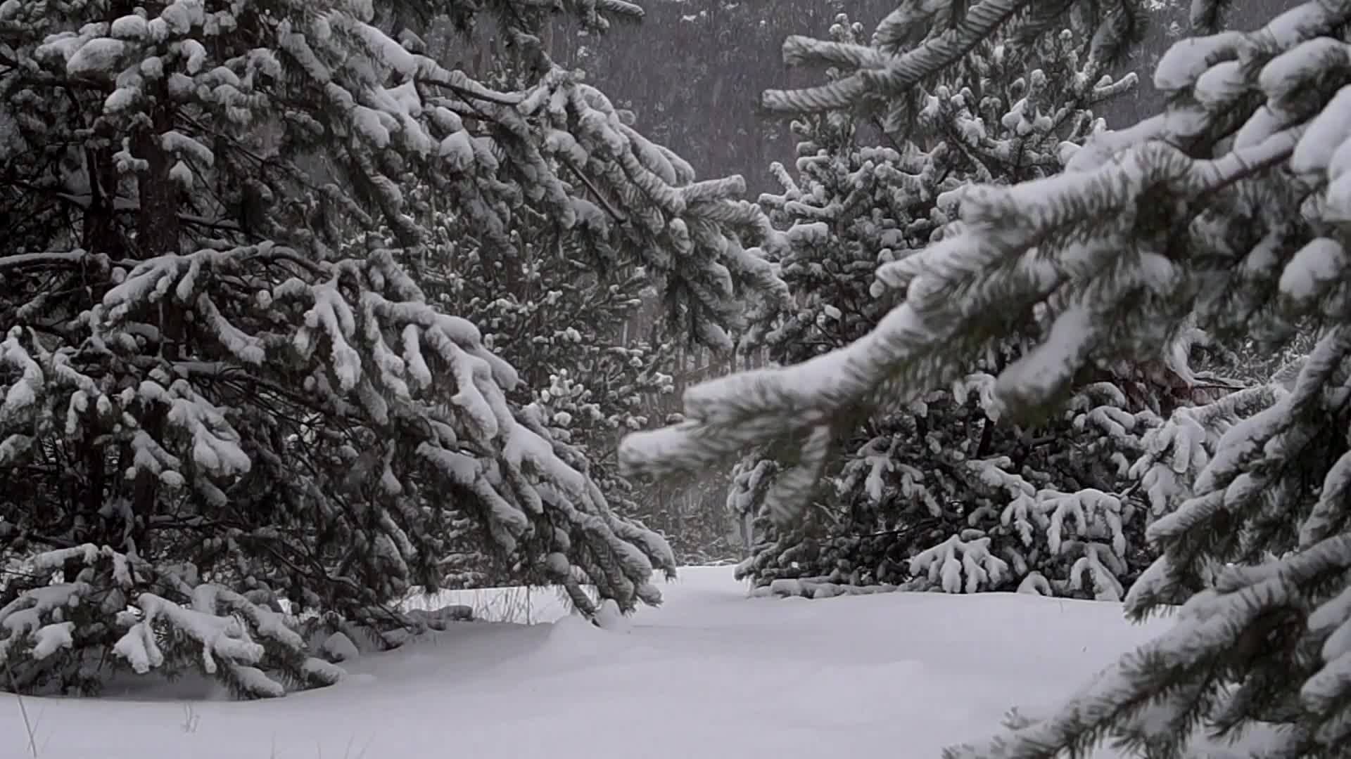 Thumbnail image for METV Christmas From METV 10sec 2