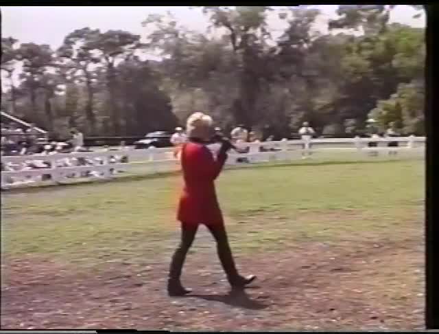 Thumbnail image for (Encore) Lippizzan Stallions 2002